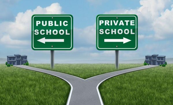 Public or private school